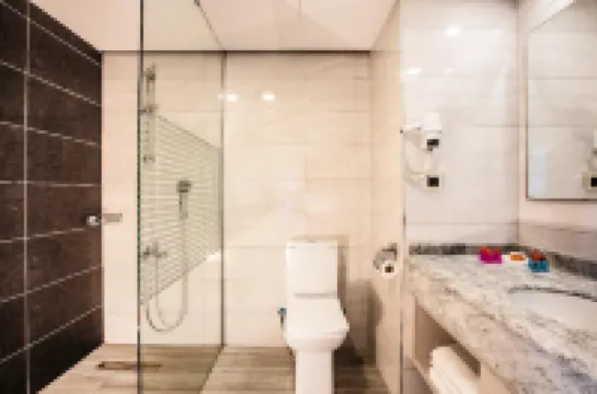 Palmin Hotel Hotels in Kadinlar Denizi Mahallesi