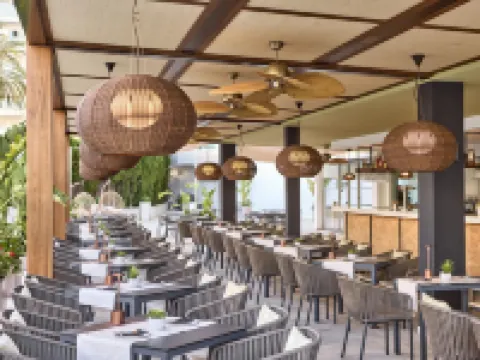 Tomir Portals Suites - Adults Only Hotels in Portals Nous