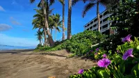 Lahaina Shores 406 Beach Front Mountain View Hotels in Lahaina