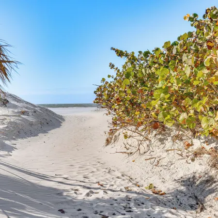 Driftwood Beach Cottage - Walk to Clearwater Bch