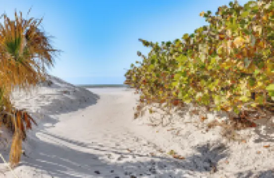 Driftwood Beach Cottage - Walk to Clearwater Bch