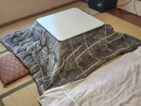 野村屋旅館 住宿飯店