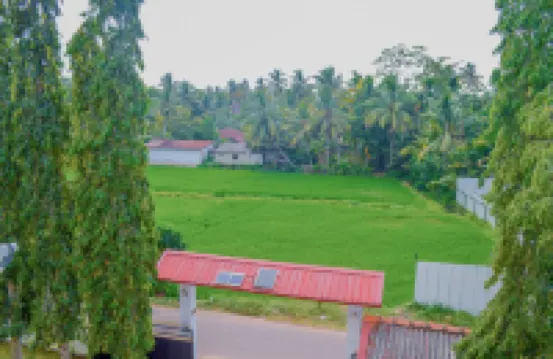 Airport Green View Resort