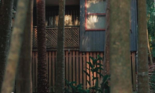 Amore on Buderim Rainforest Cabins