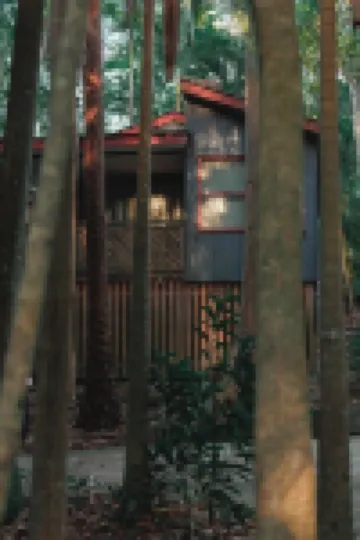 Amore on Buderim Rainforest Cabins