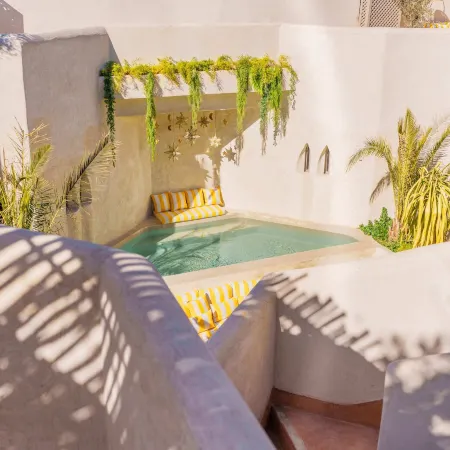 RIAD XO
