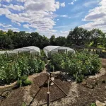 West Lexham Wellness & Retreat Centre Hotels in 