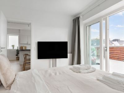 Grand Penthouse Suite With Private Rooftop Terrace
