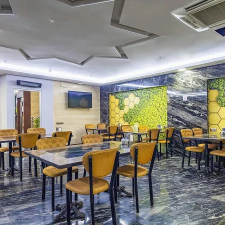Dem İstanbul Airport Hotel Отели рядом с достопримечательностью «Багджылар»