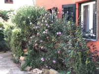 No5 Town-View Attic Studio - Pet Friendly