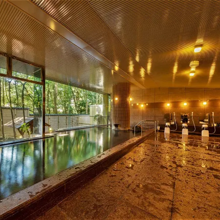 Grandvriohotel Unazukionsen