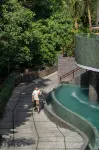 Ashva Swiss-Belresort, Ubud - 5 tähden