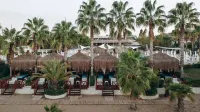 Paloma Oceana - Romanttinen
