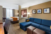 Comfort Suites Midland West - Pools