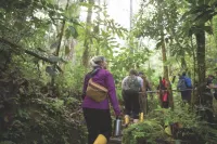 Minga Lodge & Sanctuary - 2-Star