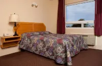 Hotel La Villa de San Quintin - que admiten mascotas