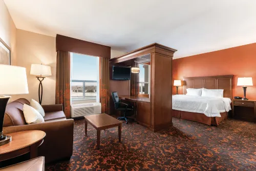 Hampton Inn by Hilton Edmonton/South - Pools