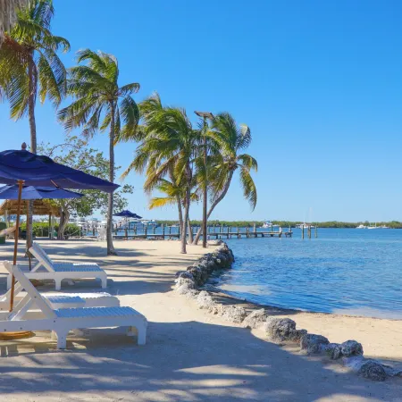 Coconut Palm Inn