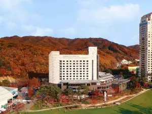 휘닉스 호텔 평창