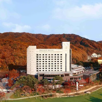 Phoenix Hotel Pyeongchang Hotels near Phoenix Snow Park