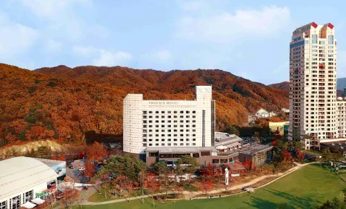 Phoenix Hotel Pyeongchang - Bares