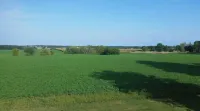 Country Guest House - Villas
