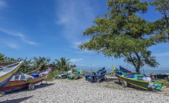 a row of colorful boats are lined up on a gravel beach under a tree at Somerset Hotel