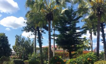 Mango Tree Courtyard Dehradun