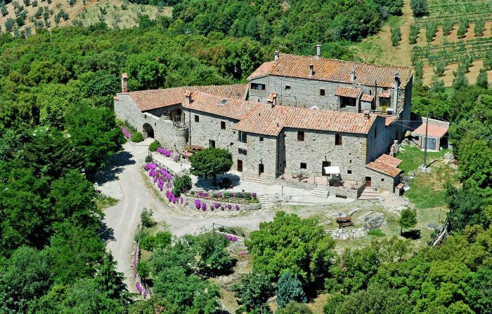 Mimosa - Borgo la Civitella