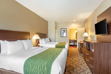 Comfort Inn & Suites Orange County John Wayne Airport