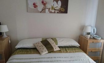 Room in Guest Room - Family Room Sleeps 3 with 1 Double and 1 Single Bed Ground Floor Private Shower