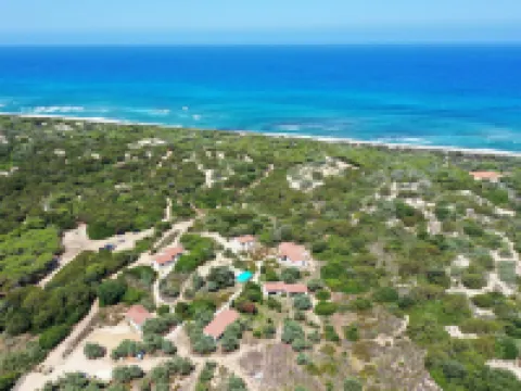 Mare di Ginepri (Bad115)