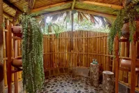 Bosque Guardian Lodge Hotels in 