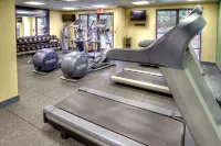 Hampton Inn & Suites Asheville Airport - Gym