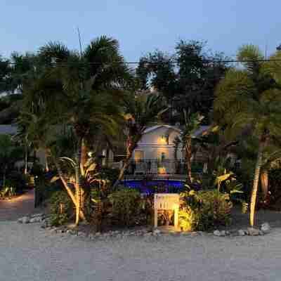 Twin Palms at Siesta Hotel Exterior