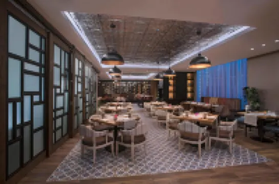 Hyatt Centric Guatemala City Hotels in Guatemala City