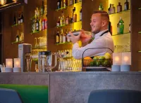 Dorint Parkhotel Frankfurt/Bad Vilbel - bar
