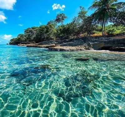 布里薩斯博林肯公寓