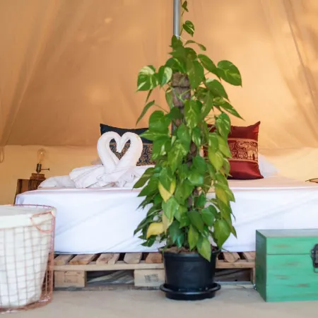 Roost Glamping
