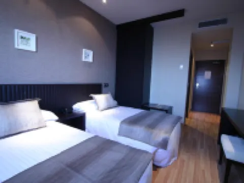 Hotel Dinastía Hoteles en Getafe