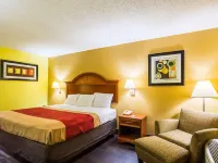 Econo Lodge Hotels in Picayune