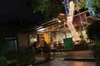 Purple Tree Bed & Breakfast - B&B