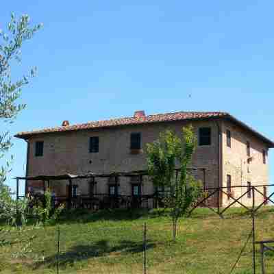 Fattoria di Colleoli Hotel Exterior