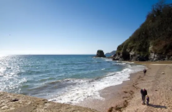 Rashleigh Arms Hotels in St Austell