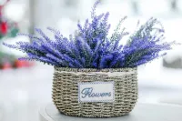 Fengfeng Hotel  (Anxiang) Hotels in Anxiang