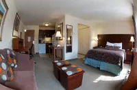Staybridge Suites STROUDSBURG (EAST) POCONOS by IHG - Wifi