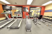 Hampton Inn Richmond - Airport - Gym