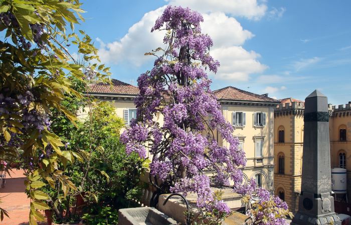 Arnaboldi Palace