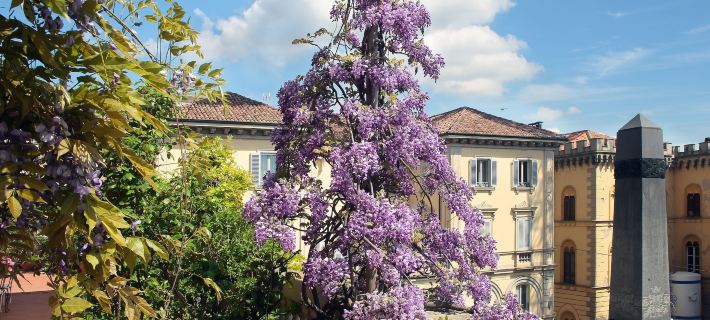 Arnaboldi Palace Hotels in Pavia