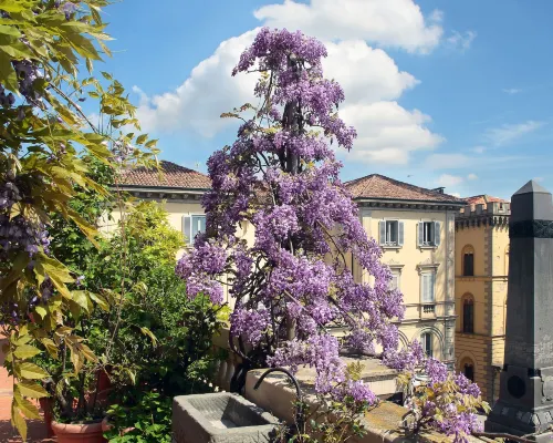 Arnaboldi Palace Hotels in Pavia